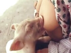 Japanese animal tube