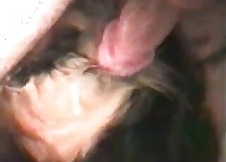 Mutt